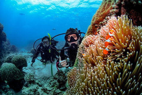 Full Day Reef Cruise Including 10 Minute Heli Scenic Flight: Get High Package - Hotel Accommodation 5