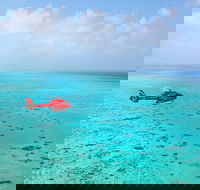 Port Douglas Scenic Flights - Hotel Accommodation