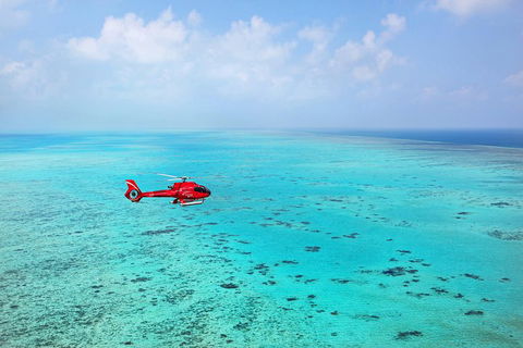 Port Douglas Scenic Flights - Hotel Accommodation 0