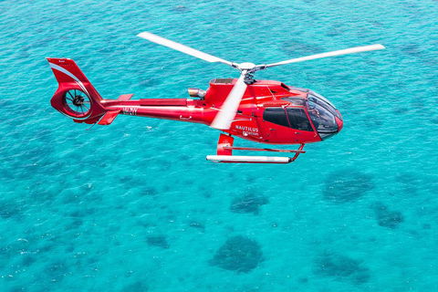Port Douglas Scenic Flights - Hotel Accommodation 2