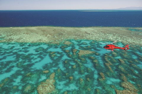 Ultimate Great Barrier Reef And Rainforest 45-minute Helicopter Tour - Hotel Accommodation 1