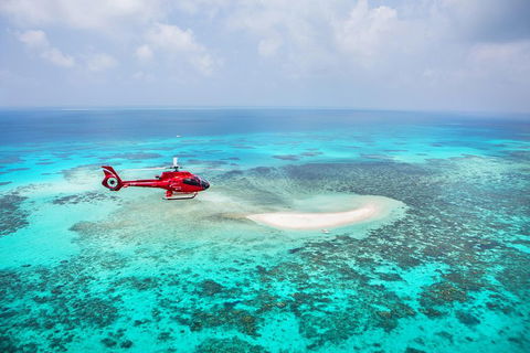 Ultimate Great Barrier Reef And Rainforest 45-minute Helicopter Tour - Hotel Accommodation 3