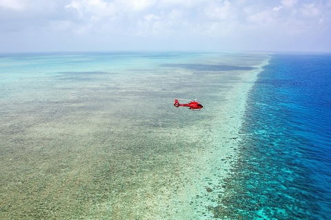 Ultimate Great Barrier Reef And Rainforest 45-minute Helicopter Tour - Hotel Accommodation 5