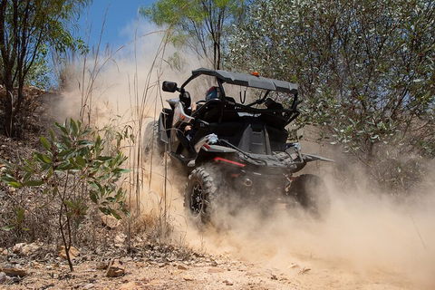 License To Thrill: 1.5 Hour Off-road Tour In Darwin (1 Person: 2 Seater Vehicle) - Hotel Accommodation 3