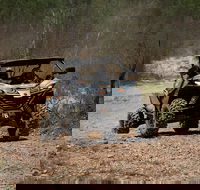 Octopussy 1.5 hour off-road tour in Darwin 1 person in 2 seater - Hotel Accommodation