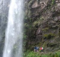 Springbrook National Park Discovery Full-Day Bushwalking Tour - Hotel Accommodation