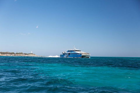Fremantle To Rottnest Island Roundtrip Ferry Ticket - Hotel Accommodation 5