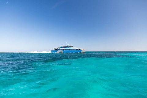 Rottnest Island Fortress Adventure Segway Package From Fremantle - Hotel Accommodation 0