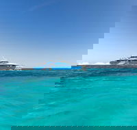 Rottnest Island Bayseeker Day Trip from Perth - Hotel Accommodation