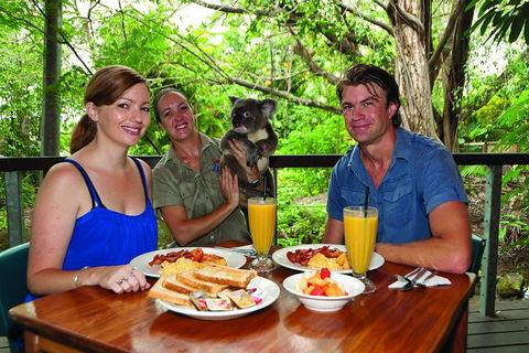 Breakfast With The Koalas At Hartley's Crocodile Park From Cairns Or Palm Cove - Hotel Accommodation 0