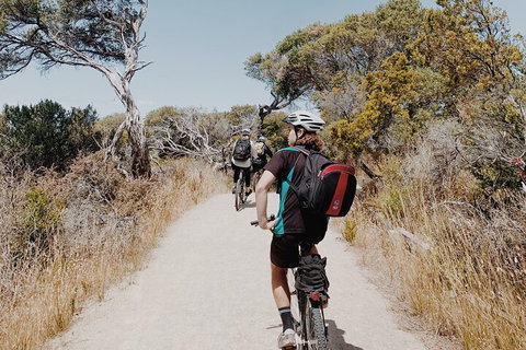 Self-Guided Point Nepean National Park Bike Hire - Hotel Accommodation 0