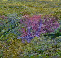 Litchfield Park  Daly River - Scenic Flight From Darwin - Hotel Accommodation