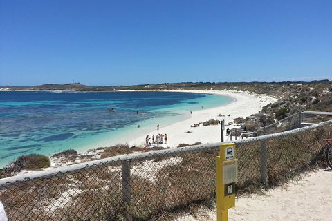 Wave Rock, Pinnacles And Rottnest One Day Aeroplane Tour - Hotel Accommodation 2