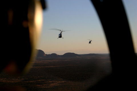 Helicopter Scenic: Lizard Safari - Hotel Accommodation 1