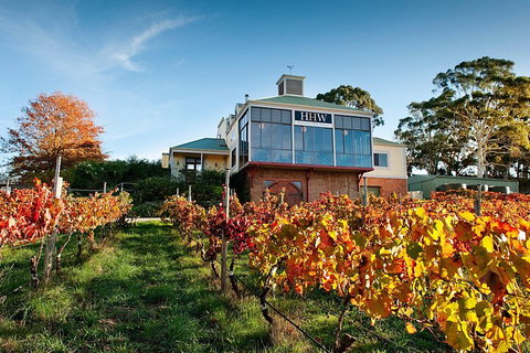 Adelaide Hills Food, Wine, Cheese, & Chocolate - Private Day Tour - Hotel Accommodation 3