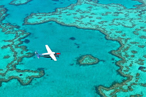 Reef And Island Scenic Flight From Airlie Beach - Hotel Accommodation 4