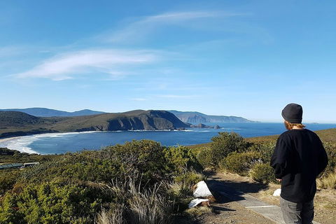 Small-Group Day Trip From Hobart To Bruny Island - Hotel Accommodation 0