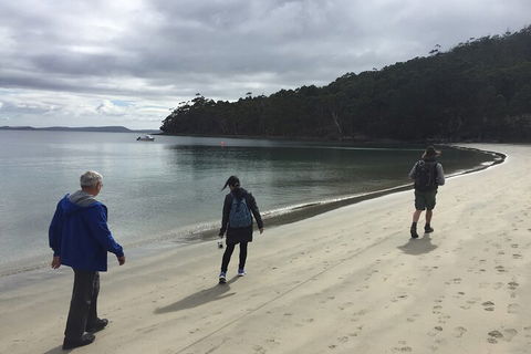 Small-Group Day Trip From Hobart To Bruny Island - Hotel Accommodation 1