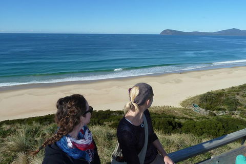 Small-Group Day Trip From Hobart To Bruny Island - Hotel Accommodation 3