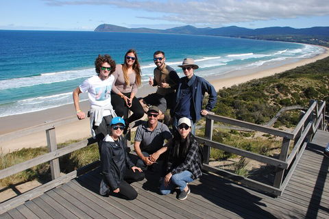 Small-Group Day Trip From Hobart To Bruny Island - Hotel Accommodation 4