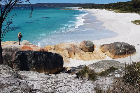 2-Day Tas East Coast Escape Tour Including Bay Of Fires, Wineglass Bay & Devils - Hotel Accommodation 4