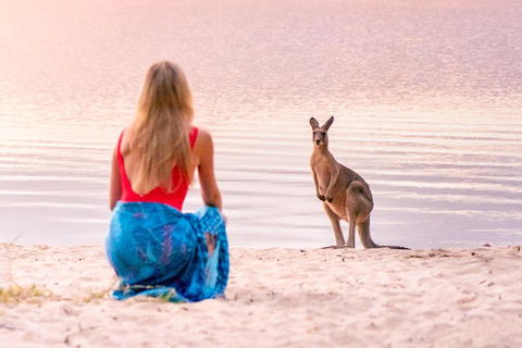 Serenity Cruise To Australia's Everglades - Hotel Accommodation 3