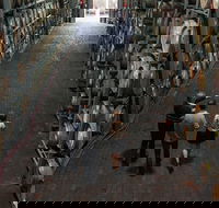 Wirra Wirra Vineyard McLaren Vale Winery Tour and Shiraz Masterclass - Hotel Accommodation