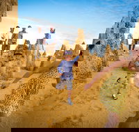 Full-Day Pinnacles Desert and Yanchep National Park Tour From Perth - Hotel Accommodation