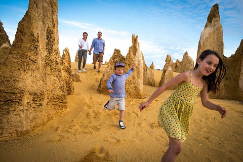Full-Day Pinnacles Desert And Yanchep National Park Tour From Perth - Hotel Accommodation 0