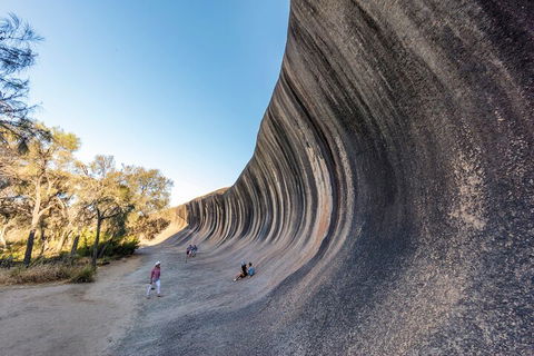 Full-Day Wave Rock & Historic York - Hotel Accommodation 0