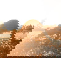 Small Group - 12 Apostles Otways  Great Ocean Road Day Tour from Melbourne - Hotel Accommodation