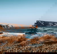 Small Group - Phillip Island Hike  Penguin Parade Day Tour from Melbourne - Hotel Accommodation