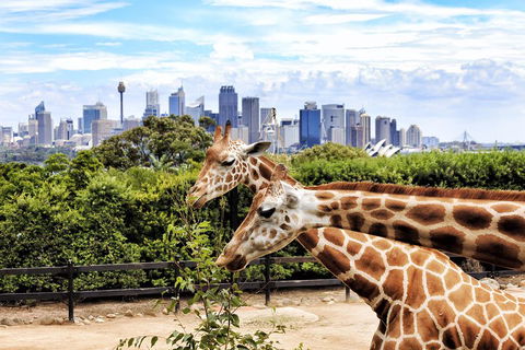 Go City | Sydney Explorer Pass With 20+ Attractions And Tours - Hotel Accommodation 2