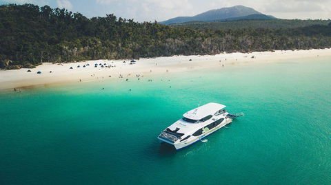 Whitehaven Beach And Daydream Island Cruise - Hotel Accommodation 1