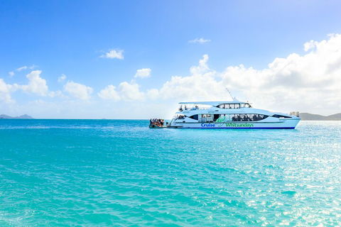Whitehaven Beach And Daydream Island Cruise - Hotel Accommodation 2