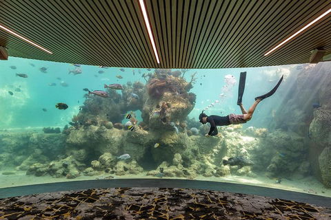 Whitehaven Beach And Daydream Island Cruise - Hotel Accommodation 4