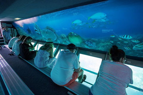 Great Barrier Reef Day Cruise To Reefworld - Hotel Accommodation 0