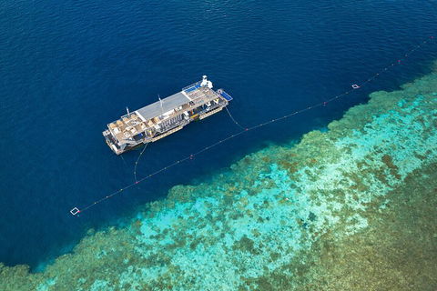 Great Barrier Reef Day Cruise To Reefworld - Hotel Accommodation 2