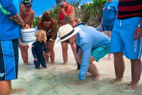 Whitehaven Beach And Hamilton Island Cruise - Hotel Accommodation 1