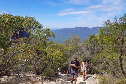 Blue Mountains Unique Small-Group Day Adventure With BBQ Lunch - Hotel Accommodation 3