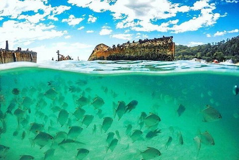 Adventure Moreton Island Day Pass - Hotel Accommodation 4