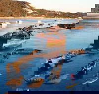 Adventure Moreton Island Wrecks Adventure Package - Hotel Accommodation