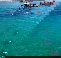 Adventure Moreton Island Scuba Dive Tour - Hotel Accommodation