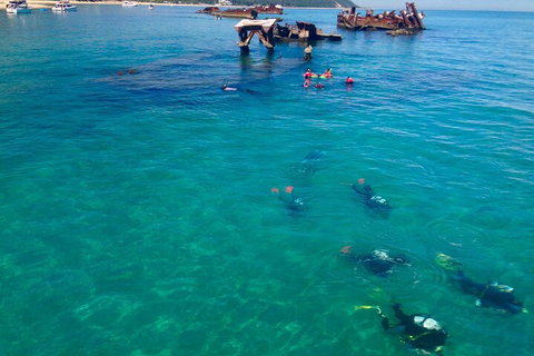 Adventure Moreton Island Scuba Dive Tour - Hotel Accommodation 0