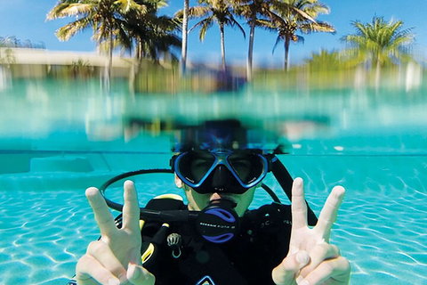 Adventure Moreton Island Scuba Dive Tour - Hotel Accommodation 2