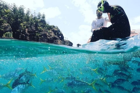 2 Night Small Group Whitsundays Sailing Adventure Aboard Mandrake - Hotel Accommodation 5