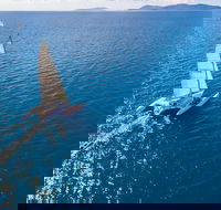 2-Night Whitsunday Islands Sailing Adventure on Trimaran Avatar - Hotel Accommodation