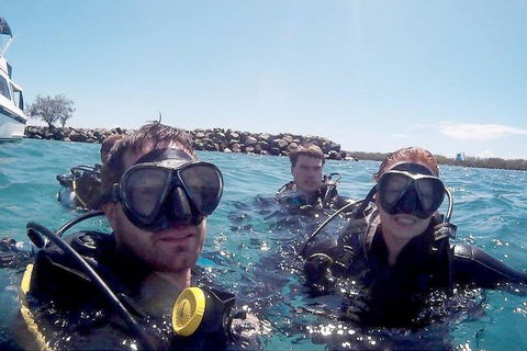 Wave Break Island Scuba Diving On The Gold Coast - Hotel Accommodation 0