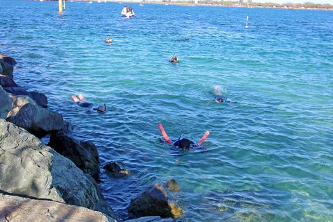 Wave Break Island Scuba Diving On The Gold Coast - Hotel Accommodation 1