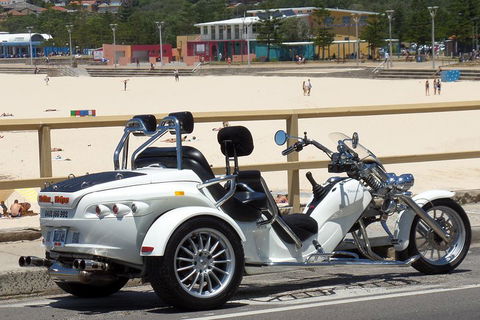 Sydney Six Beaches Trike Tour - Hotel Accommodation 1